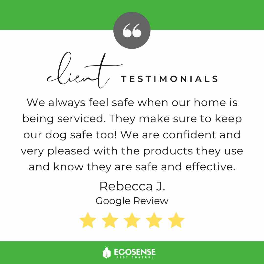 Pest Control Boise EcoSense Pest Control